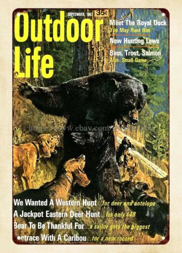 office wall decor 1967 Outdoor - Hunting Dog Outdoor ulasan dan harga