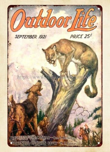 buy wall 1921 OUTDOOR LIFE mag - Hunting Dog Outdoor ulasan dan harga