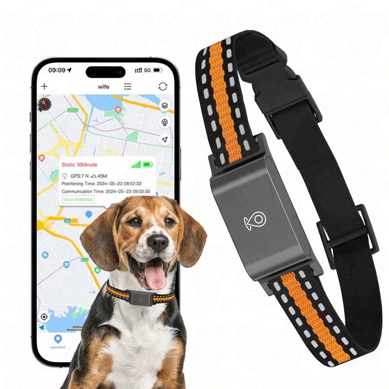 Dog GPS Tracker Outdoor Campin - Hunting Dog Outdoor ulasan dan harga